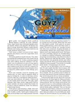 Güýz ertekisi